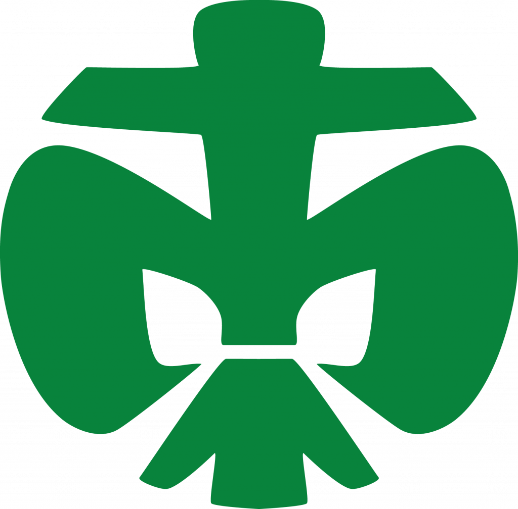 Pfadfinderlilie der Pfadfinderstufe, Farbe: grün