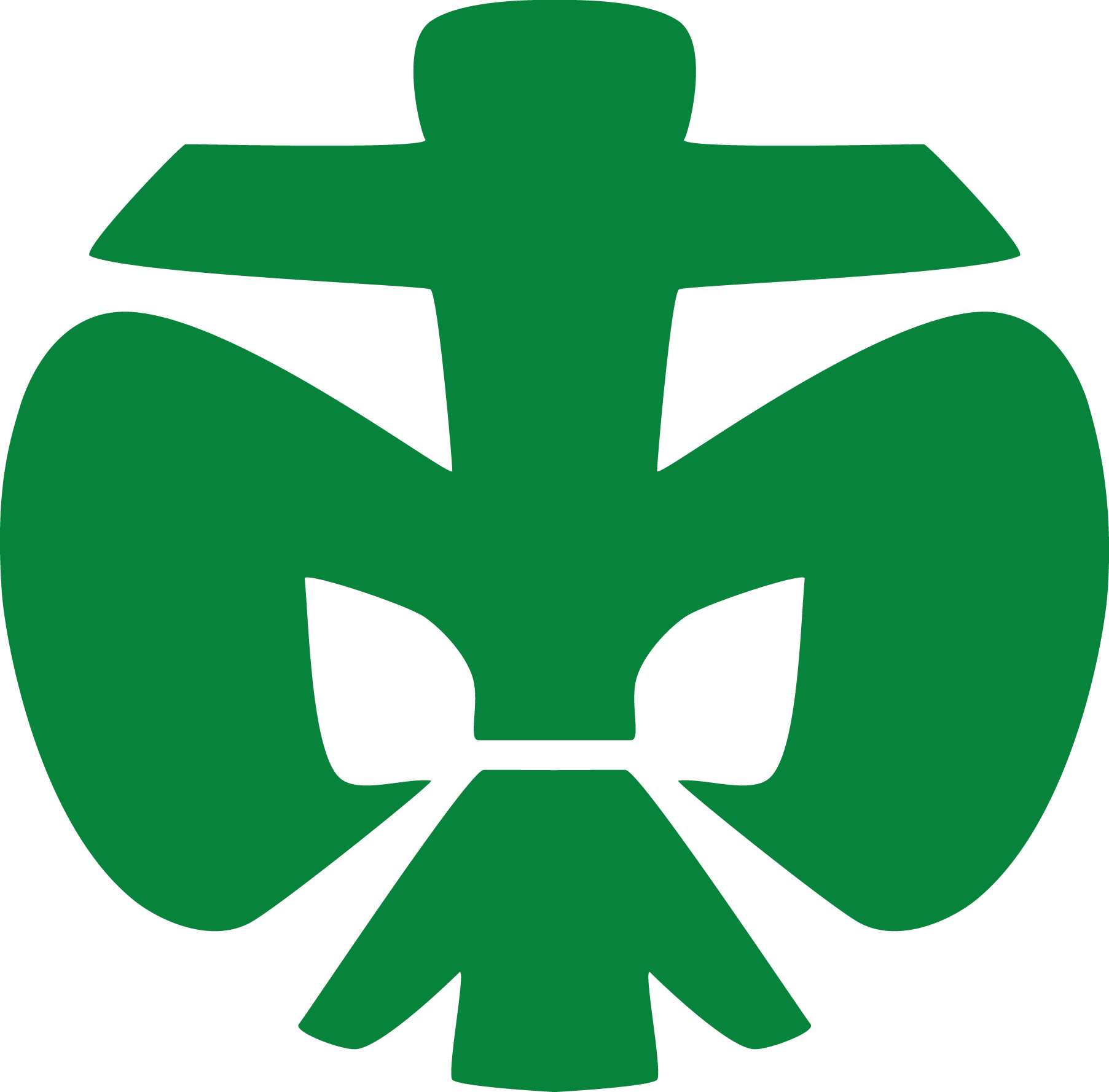 Pfadfinderlilie der Pfadfinderstufe, Farbe: grün